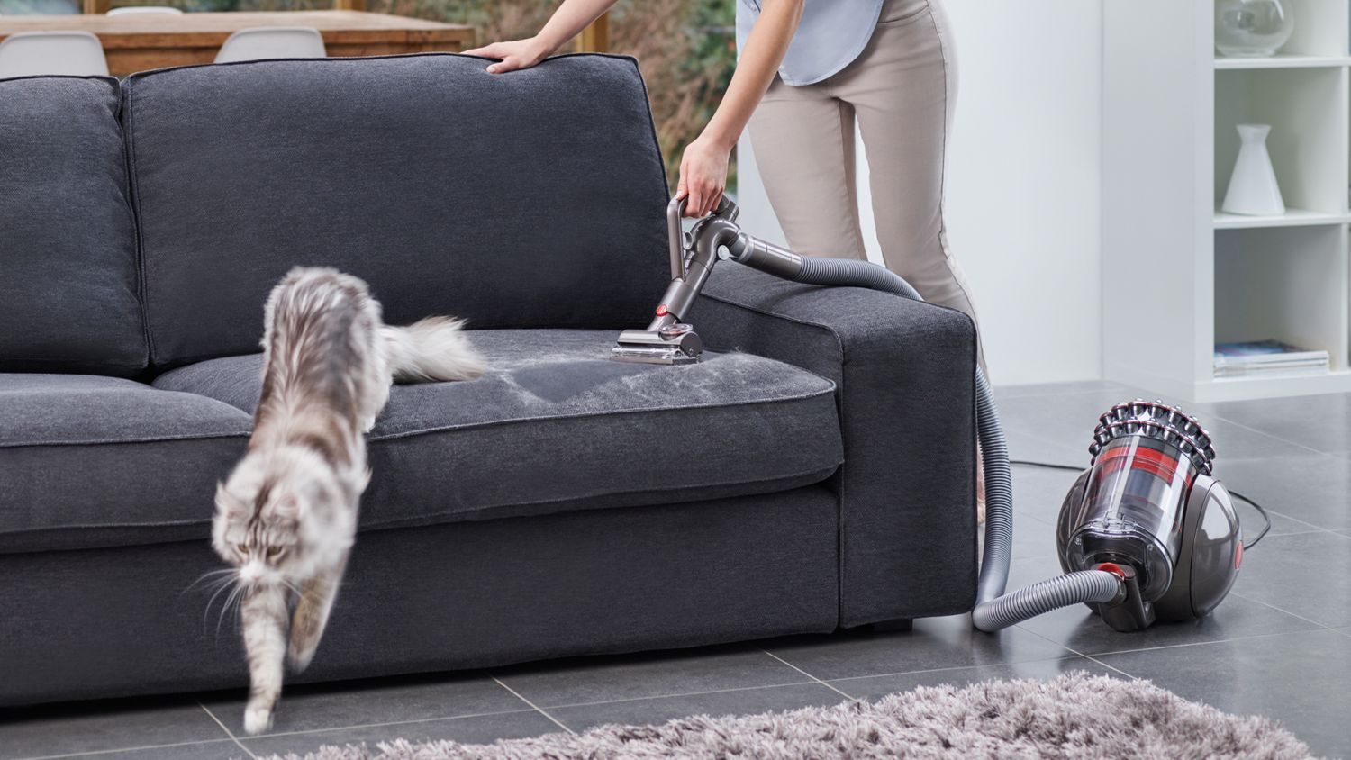Dyson Cinetic Big Ball Absolute 2 dulkių siurblys
